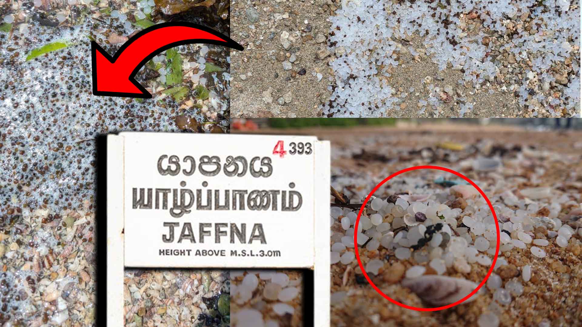 Read more about the article <span class="photo-label">🔴 PHOTO</span> எச்சரிக்கை – யாழில் கரையொதுங்கும் மர்ம மூலப்பொருட்கள்