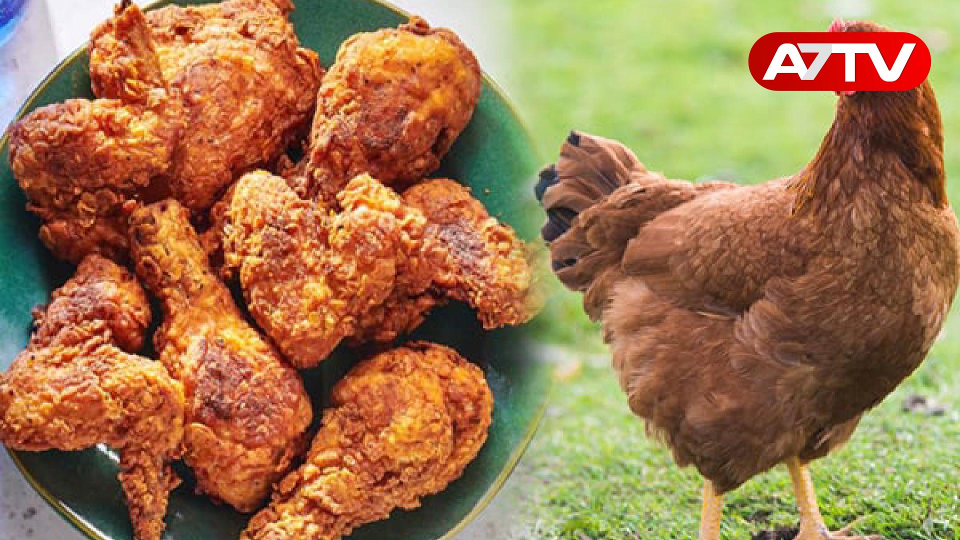 Read more about the article அதிகமாக கோழிக்கறி சாப்பிடுவதால் புற்றுநோய் வரும் அபாயம்! ஆய்வில் வெளியான அதிர்ச்சி தகவல்