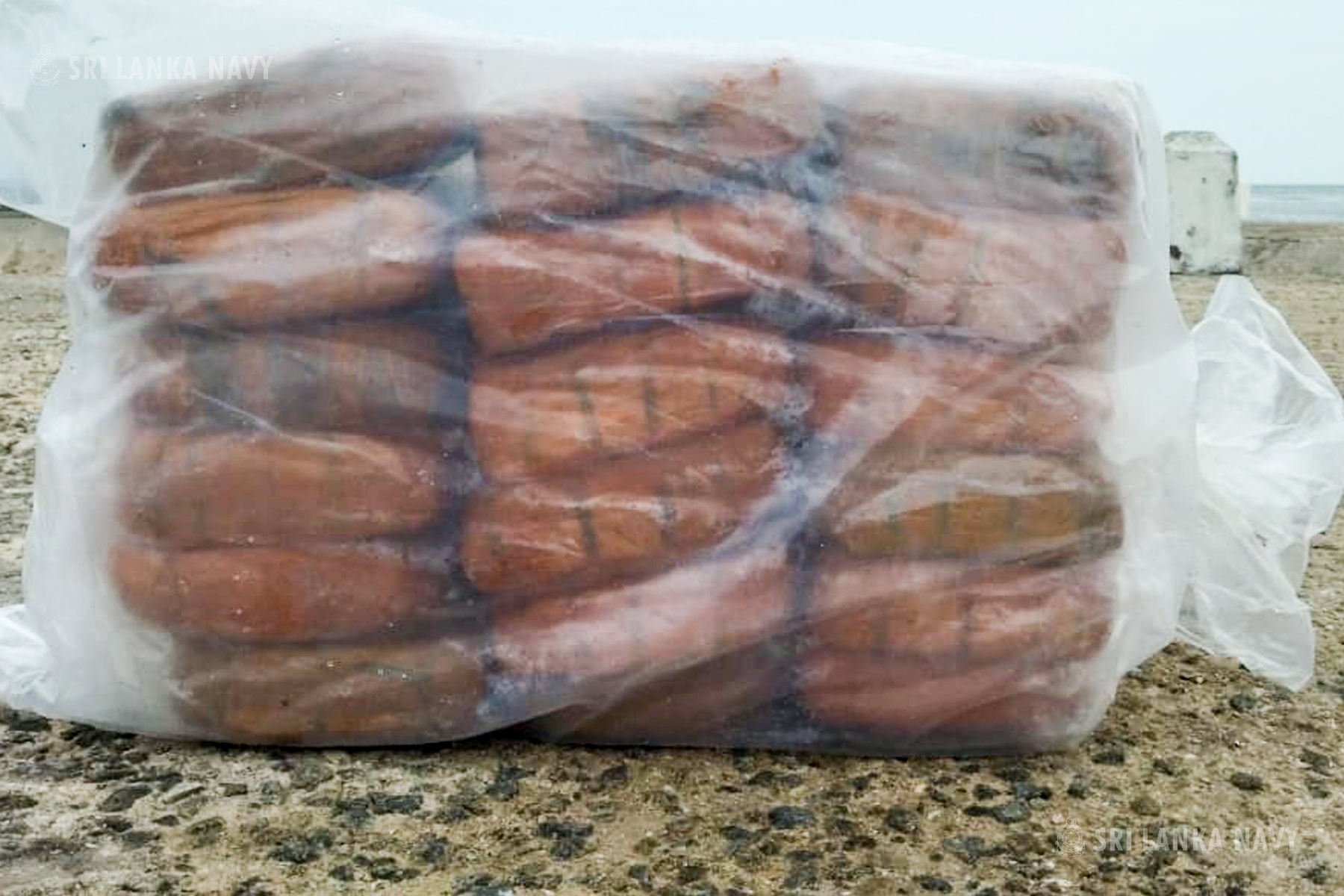 Read more about the article <span class="photo-label">🔴 PHOTO</span> யாழ் 15 மில்லியன் ரூபா கேரள கஞ்சா கண்டெடுப்பு.