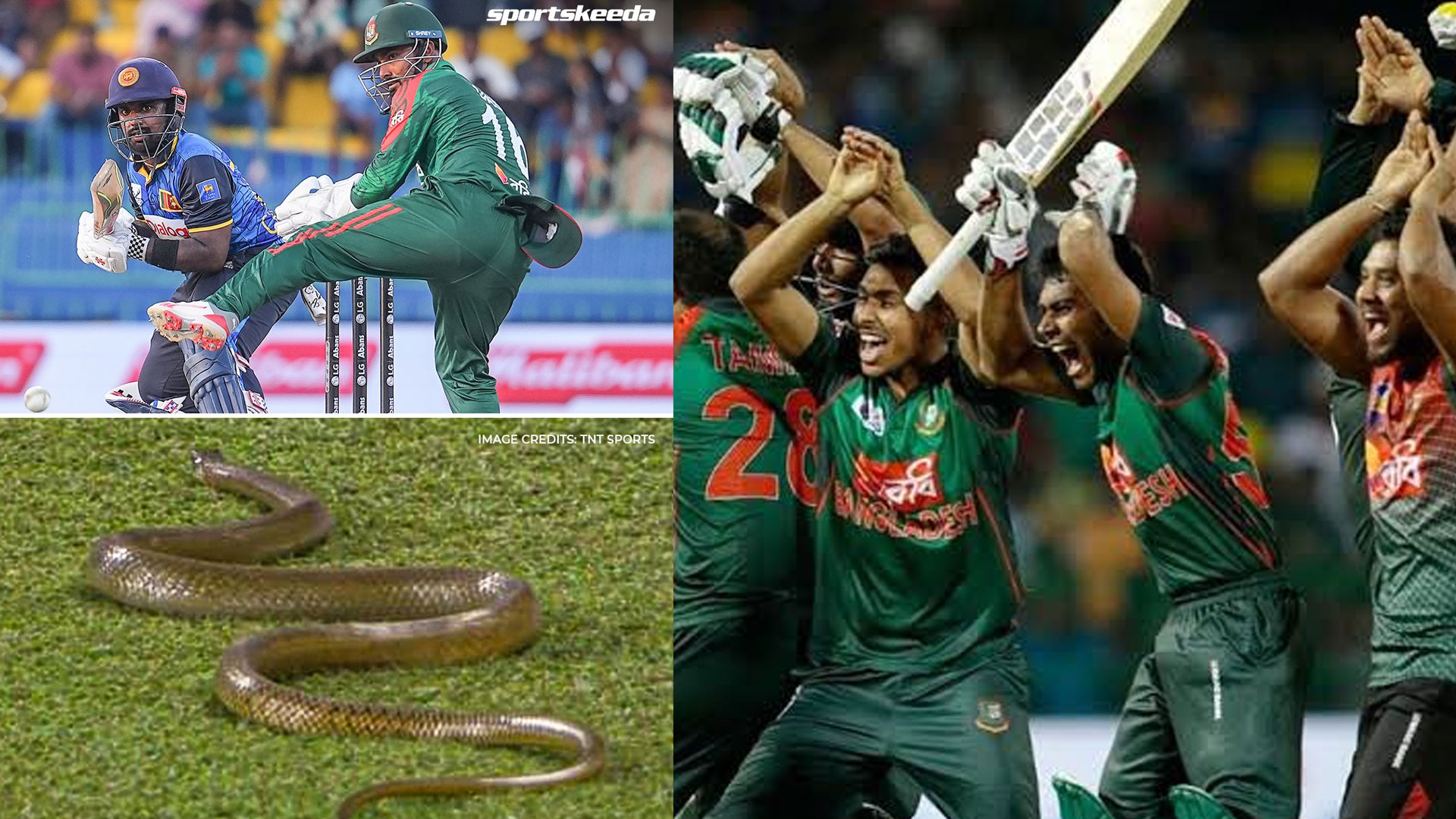 Read more about the article <span class="video-label">🔴 VIDEO</span> இலங்கை-பங்களாதேஷ் இடையேயான ஒருநாள் போட்டியின்போது மைதானத்திற்குள் வந்த பாம்பு