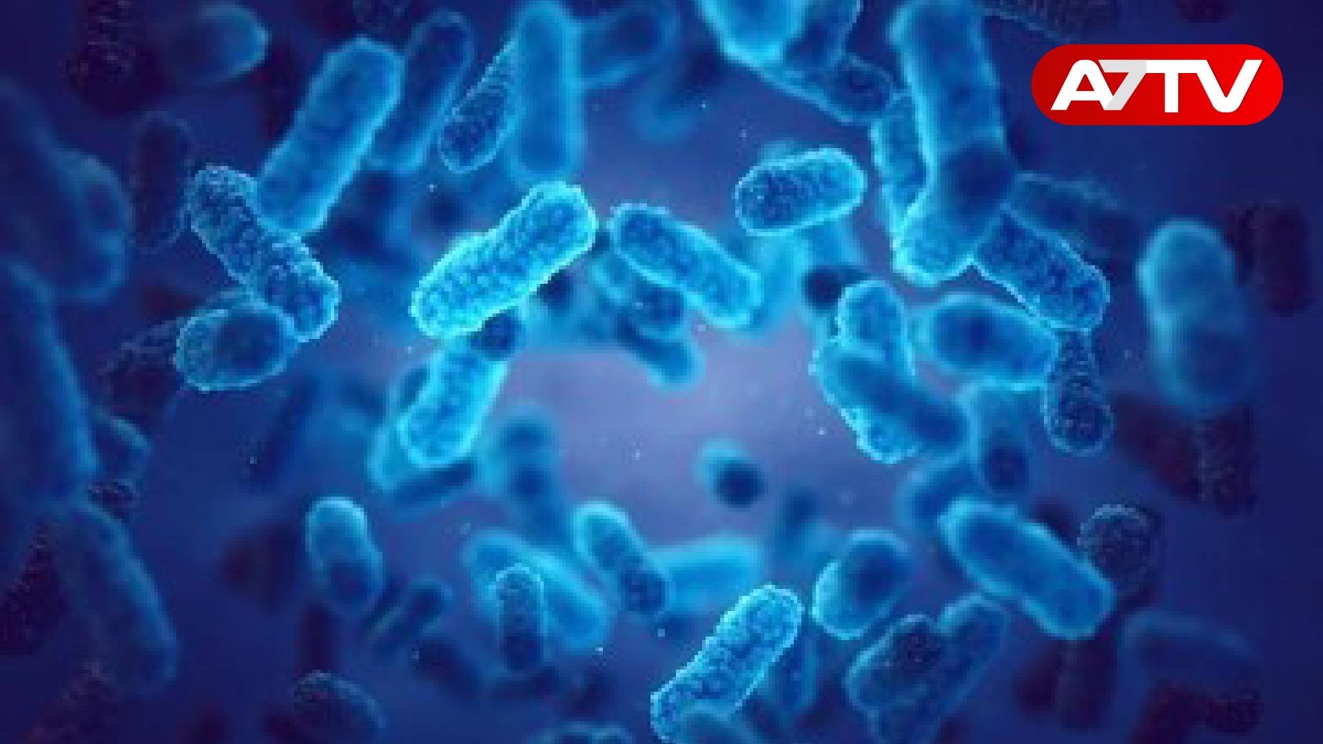 Read more about the article சதை உண்ணும் ஒட்டுண்ணி தொற்று ஏற்பட்ட முதல் நபர் கண்டுப்பிடிப்பு!