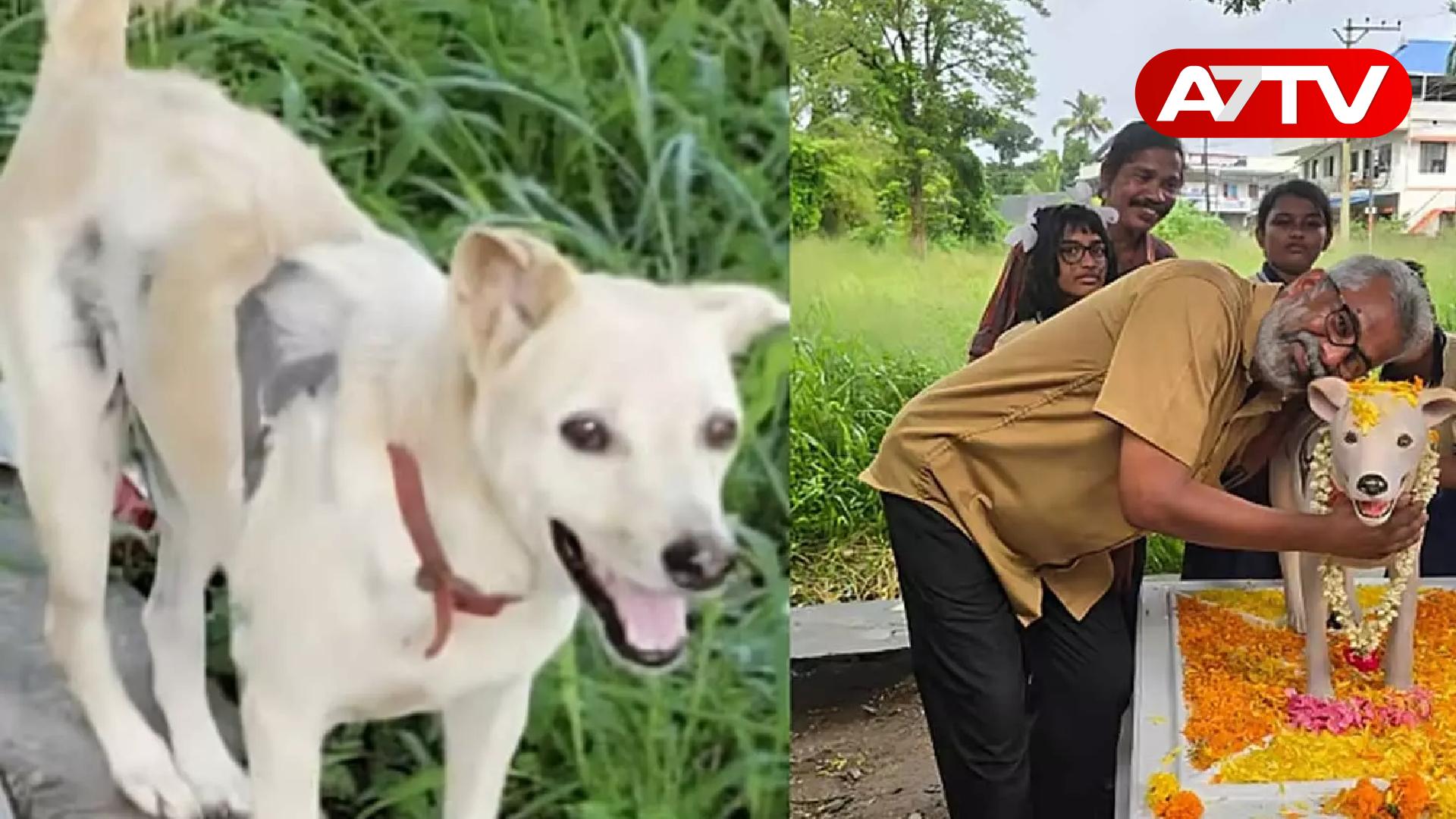 Read more about the article தெருநாய்க்கு சிலை வைத்த பொதுமக்கள்: பதிவான நெகிழ்ச்சி சம்பவம்!