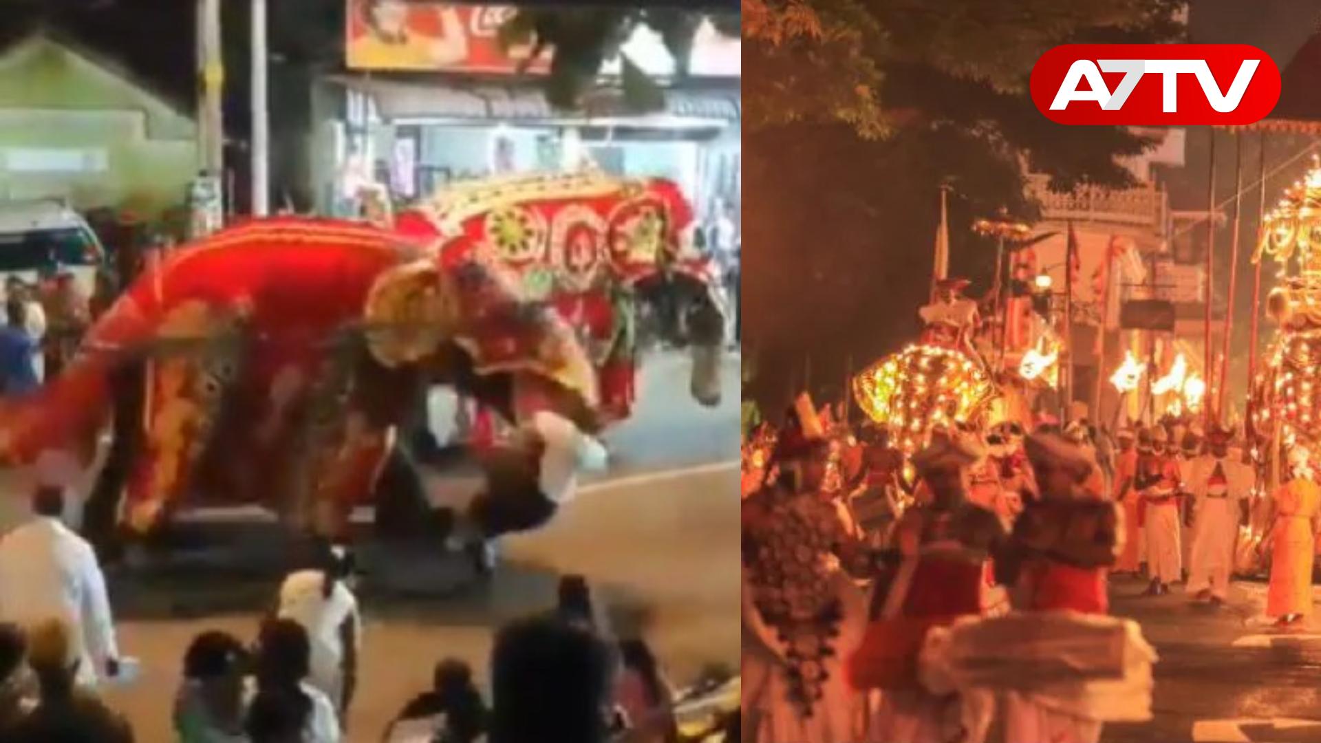 Read more about the article இலங்கையில் பாகனை புரட்டி எடுத்த யானை: பெரஹராவில் சம்பவம்