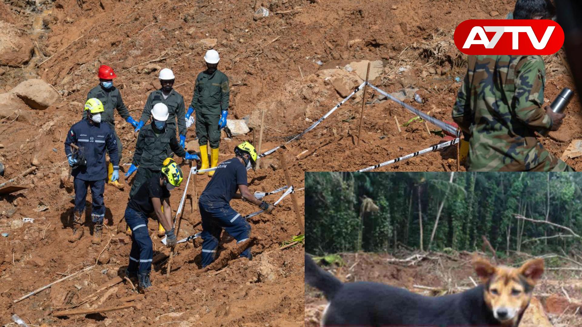 Read more about the article ஒரே குடும்பத்தை சேர்ந்தவர்களின் சடலங்களை மீட்க உதவிய வளர்ப்பு நாய்!