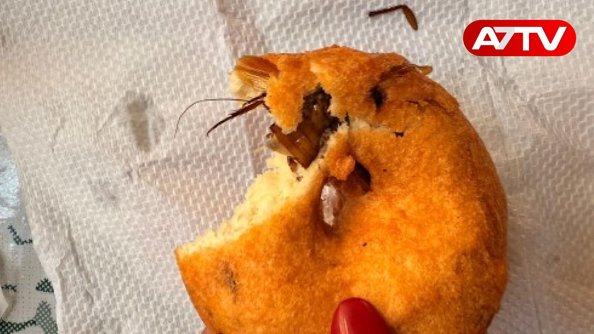 Read more about the article வடையினுள் கரப்பான் பூச்சி: கொழும்பில் பிரபல சைவ உணவகத்தின் மீது முறைப்பாடு