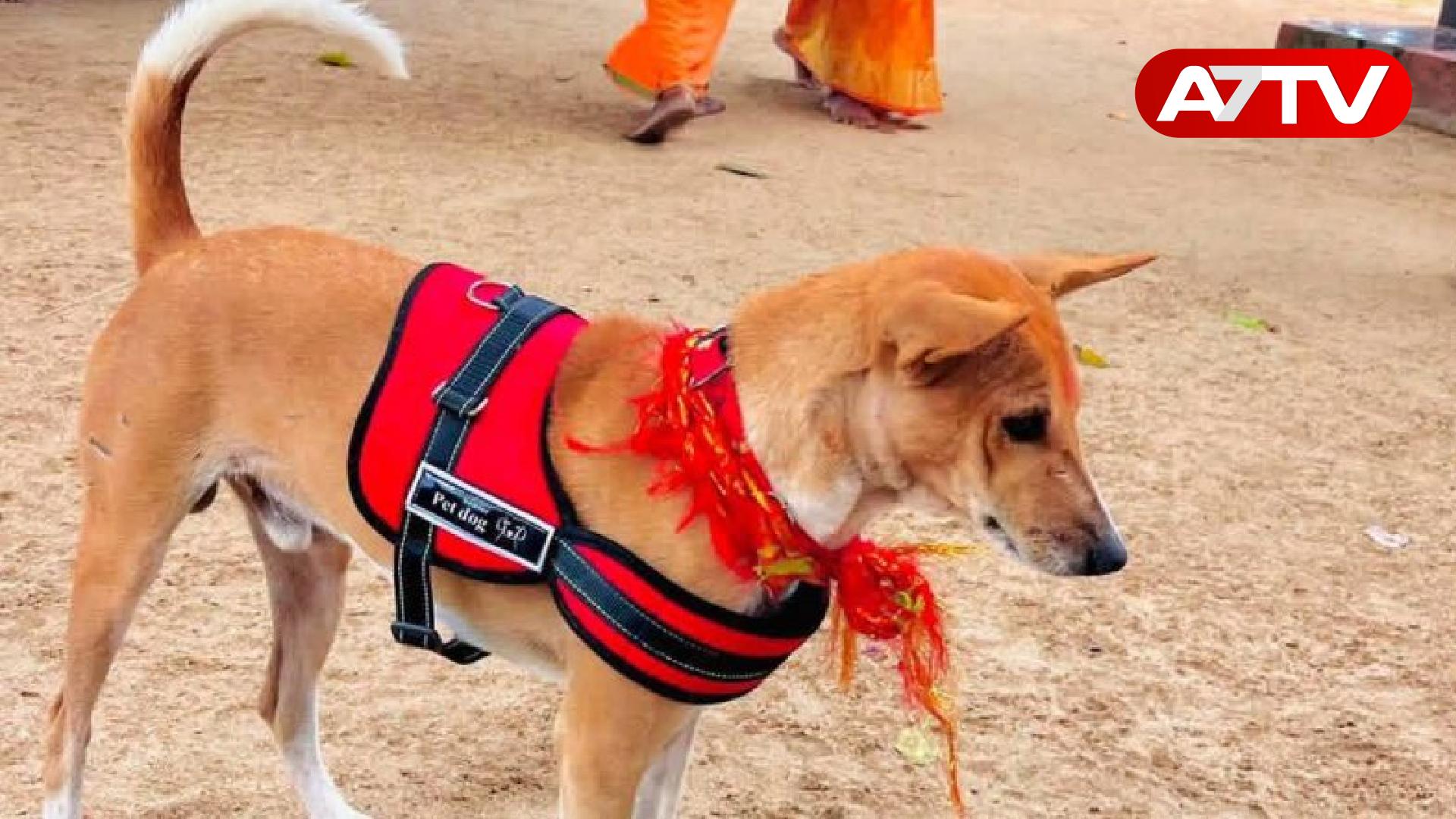 Read more about the article உகந்தை நோக்கிப் பயணிக்கும் ‘சுப்பிரமணி’: யோகட், பால் கொடுப்பதைத் தவிர்க்குமாறு கோரிக்கை!