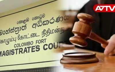 Court Judgments​