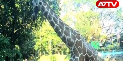 Dehiwala National Zoological Garden