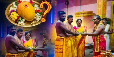 MangoAuction