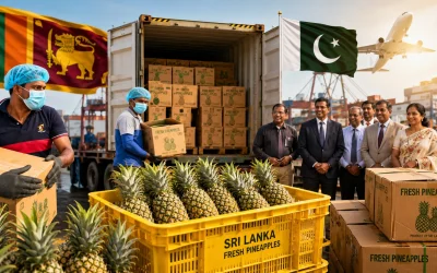 PineappleExport
