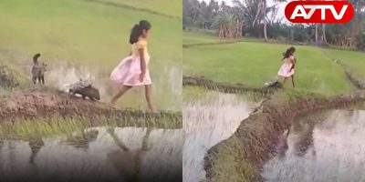 Viral video of a little girl and a porcupine