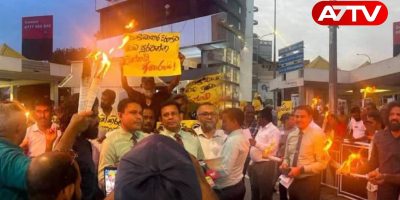anura go home