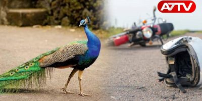 bike accident