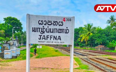 jaffna