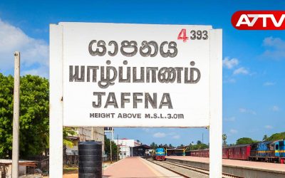 jaffna news