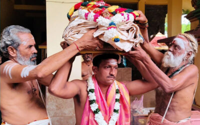 kodiselai