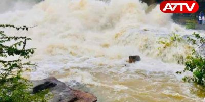 mahaweli river