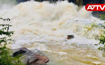 mahaweli river