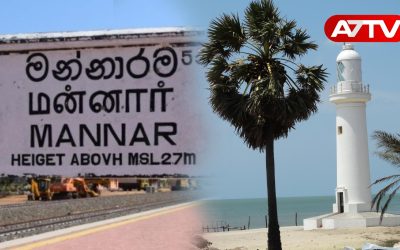 mannar