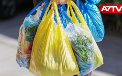polythene