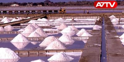 salt