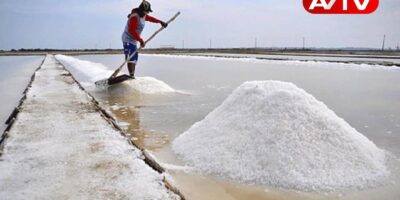 salt