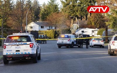 Fraser Heights, Surrey, Vancouver, British Columbia, Canada - February 6, 2022: Police and Swat Team are arresting a man for alleged Robery. Suburban Neighborhood during sunny Sunday morning.