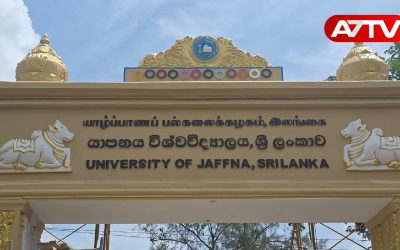 university of jaffna